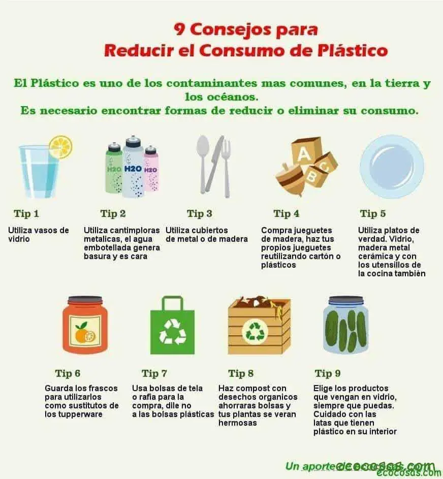 Abandonando el plástico 1 Abandonando el plástico 1