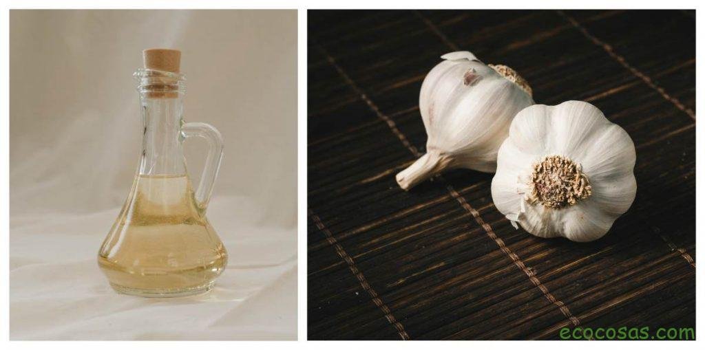 aceite de ajo
