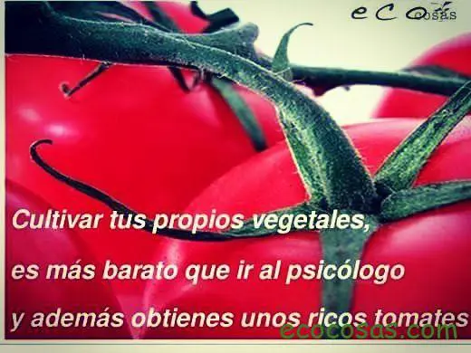 Cultiva un huerto y vive mas años 3