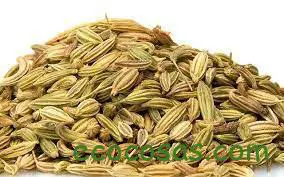 Hinojo. Propiedades, beneficios y contraindicaciones 1 infusion de hinojo