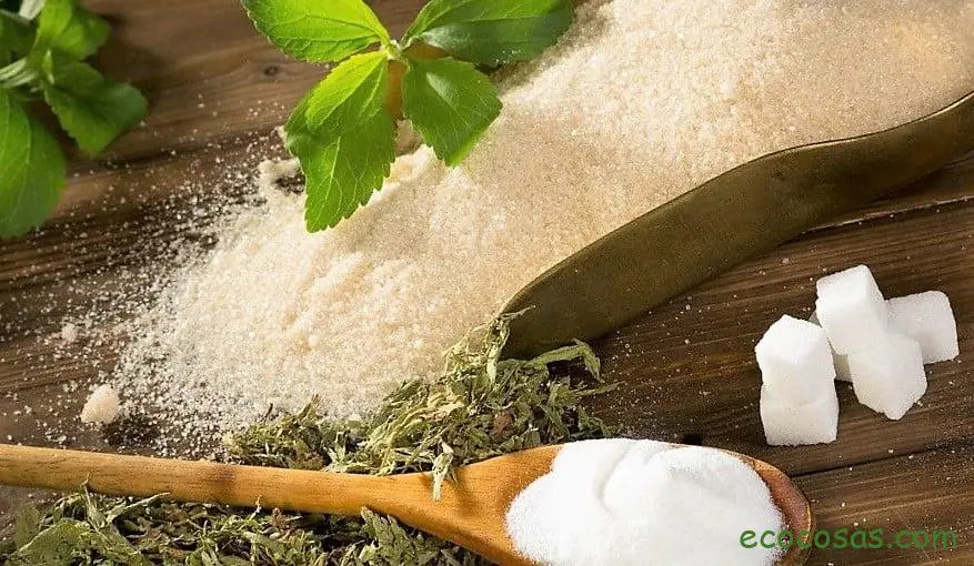 Stevia, un edulcorante natural apto para la diabetes 1