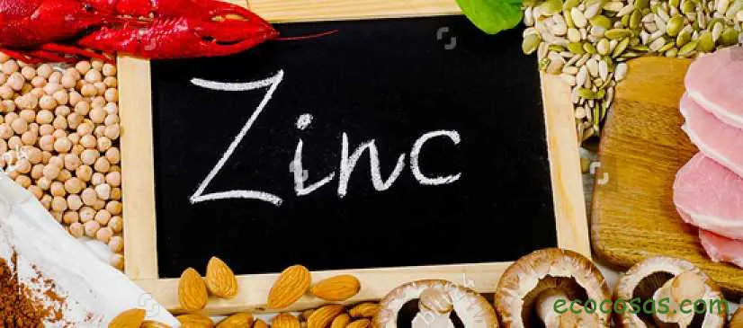 Zinc. Propiedades, contraindicaciones y alimentos ricos en este mineral 4 zinc propiedades