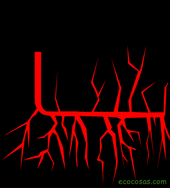 Ecología, Permacultura, Salud Natural, Plantas Medicinales, Como Cultivar, Energías renovables, Bioconstrucción y otros. 2