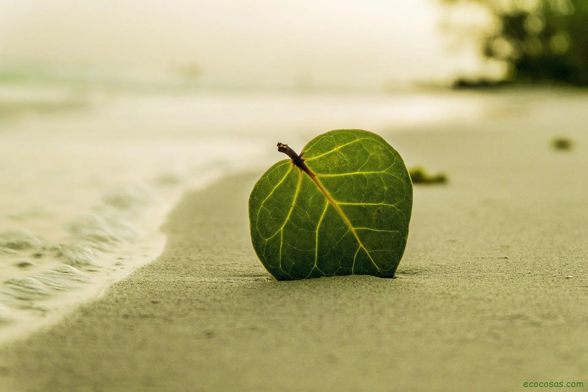 Consejos para hacer turismo ecológico 1