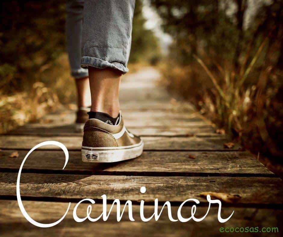 Ecología, Permacultura, Salud Natural, Plantas Medicinales, Como Cultivar, Energías renovables, Bioconstrucción y otros. 4