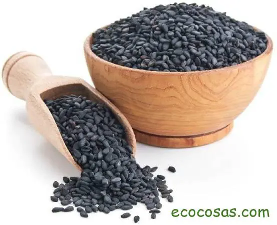 Sésamo o ajonjolí: propiedades y beneficios de estas semillas 1 propiedades del sesamo
