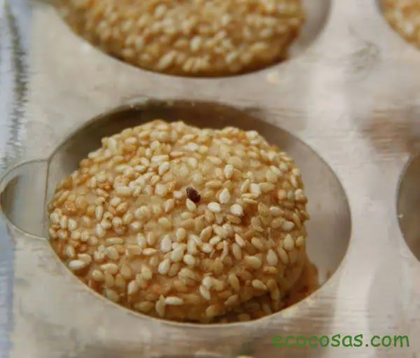 Sésamo o ajonjolí: propiedades y beneficios de estas semillas 3 sesamo