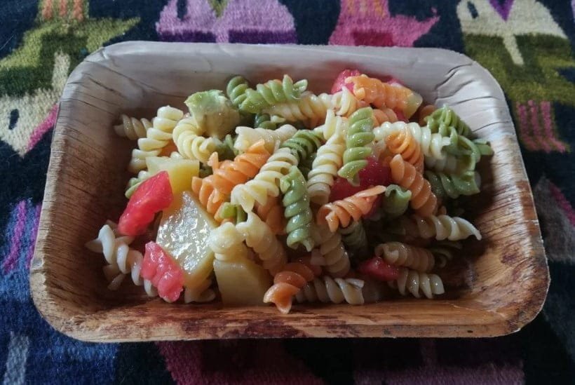 Ecología, Permacultura, Salud Natural, Plantas Medicinales, Como Cultivar, Energías renovables, Bioconstrucción y otros. 2