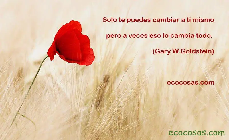 Pensamientos positivos: ideas y frases para la vida cotidiana 1