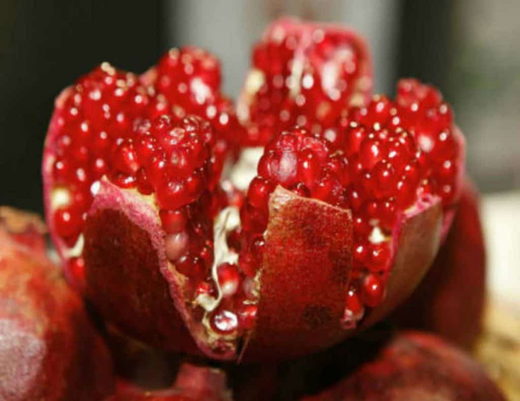 granada fruta