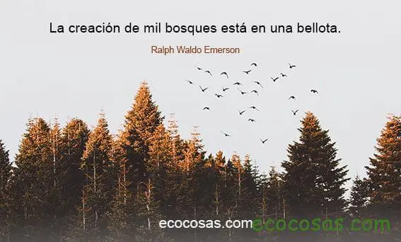 pensamientos positivos