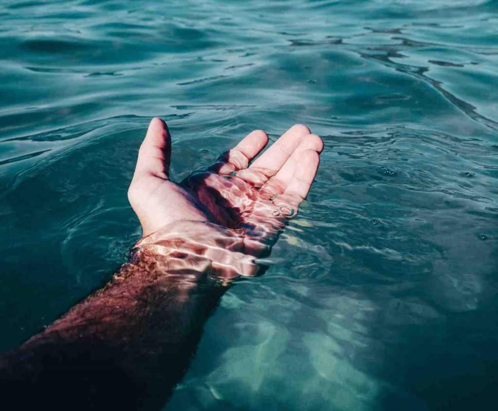 acidificacion del mar