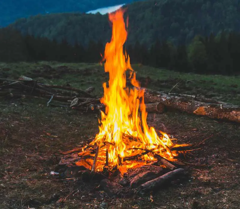 Causas y consecuencias de los incendios forestales 2 caracteristicas de los incendios forestales