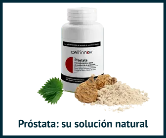 Próstata. La mejora alternativa natural para los problemas de este órgano 4