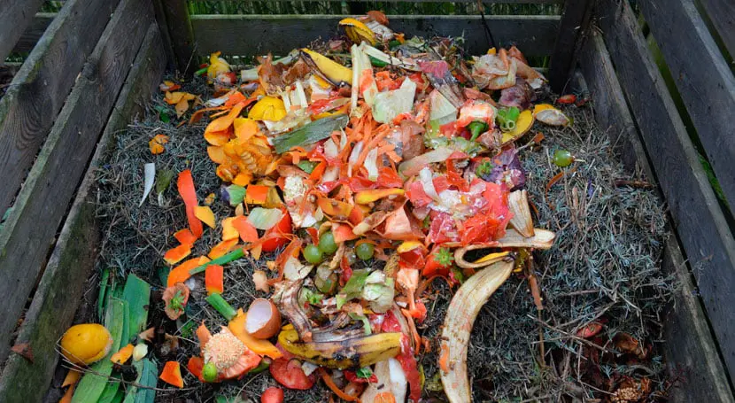 Cómo hacer compost casero, guía completa 2 Cómo hacer compost casero, guía completa 2