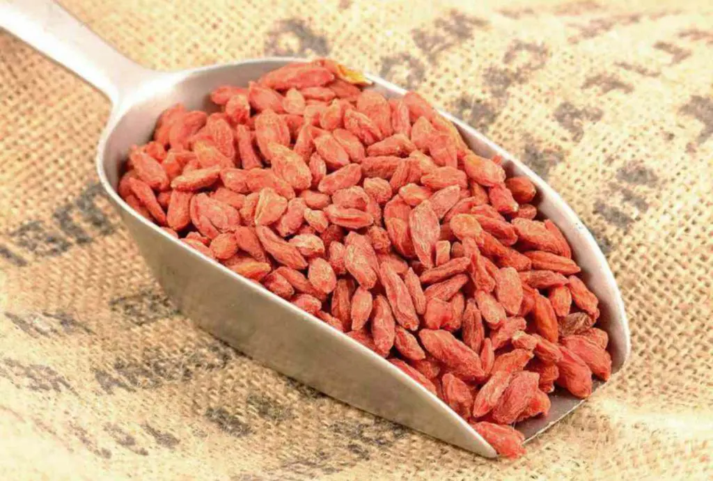 bayas de goji
