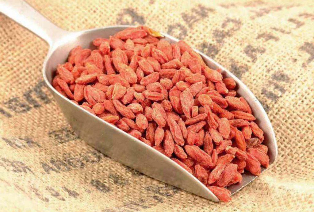 bayas de goji