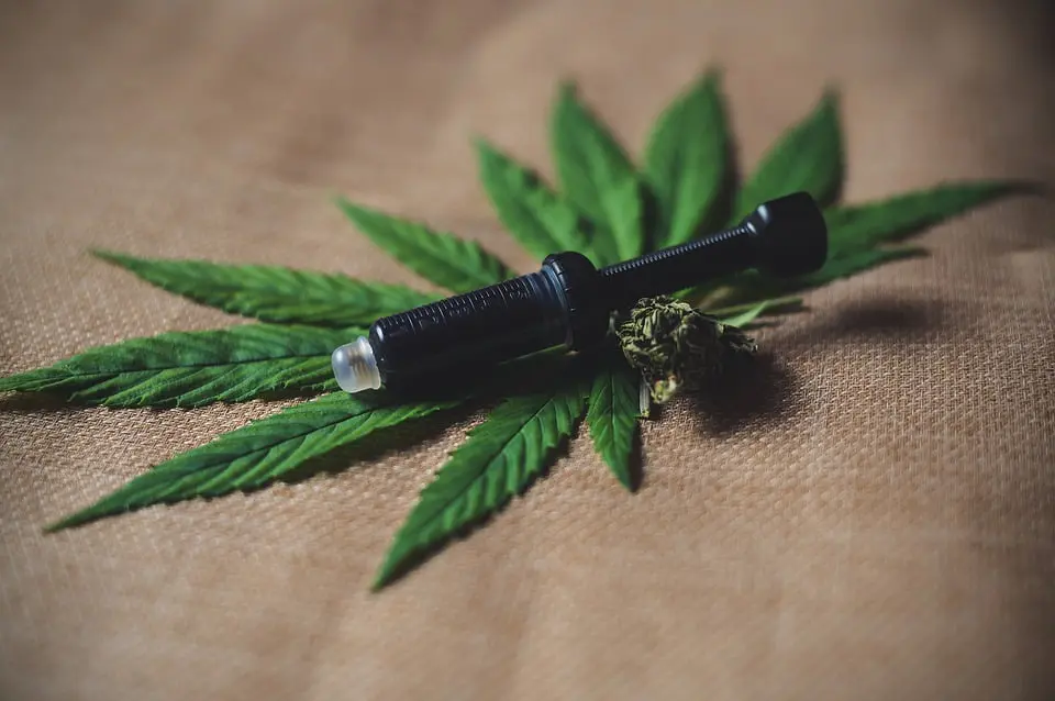 7 beneficios medicinales de la marihuana científicamente comprobados 1