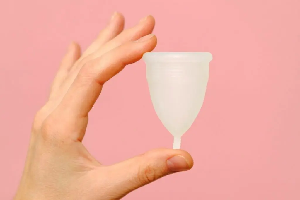 Cómo la copa menstrual es una gran ayuda al medioambiente 1 copa menstrual