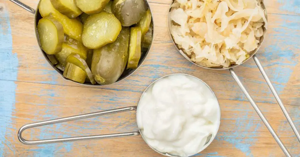 probioticos naturales