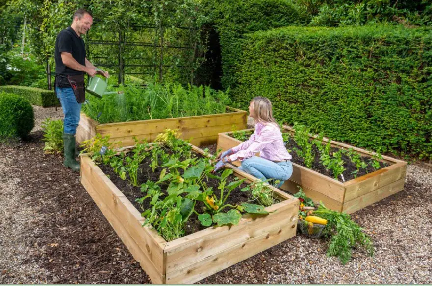 8 Formas de hacer un bancal elevado para tu huerto 4 8 Formas de hacer un bancal elevado para tu huerto 4