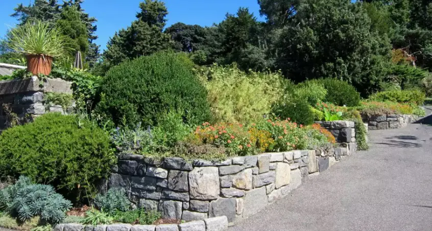 8 Formas de hacer un bancal elevado para tu huerto 2 8 Formas de hacer un bancal elevado para tu huerto 2