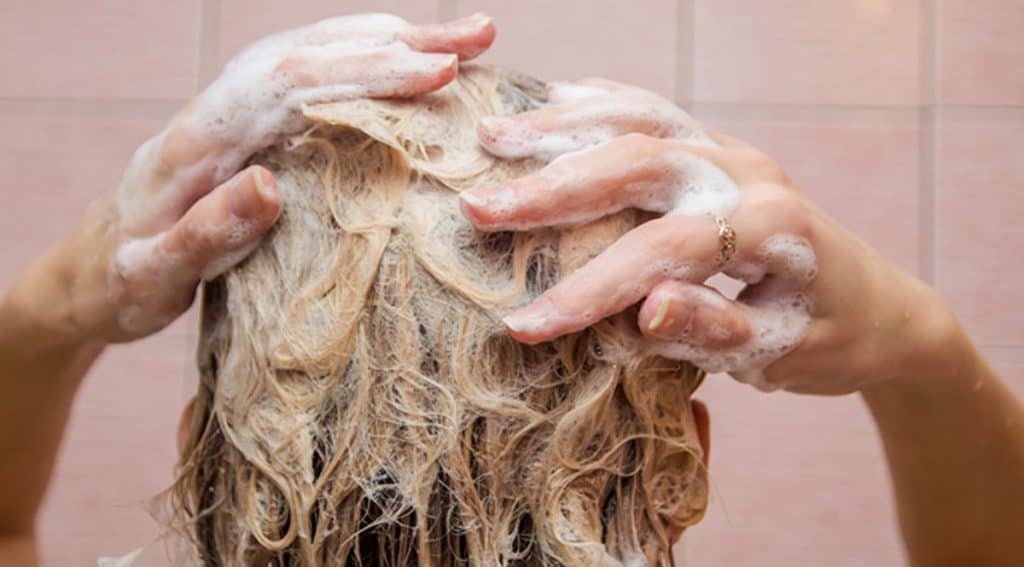 champu natural sin quimicos