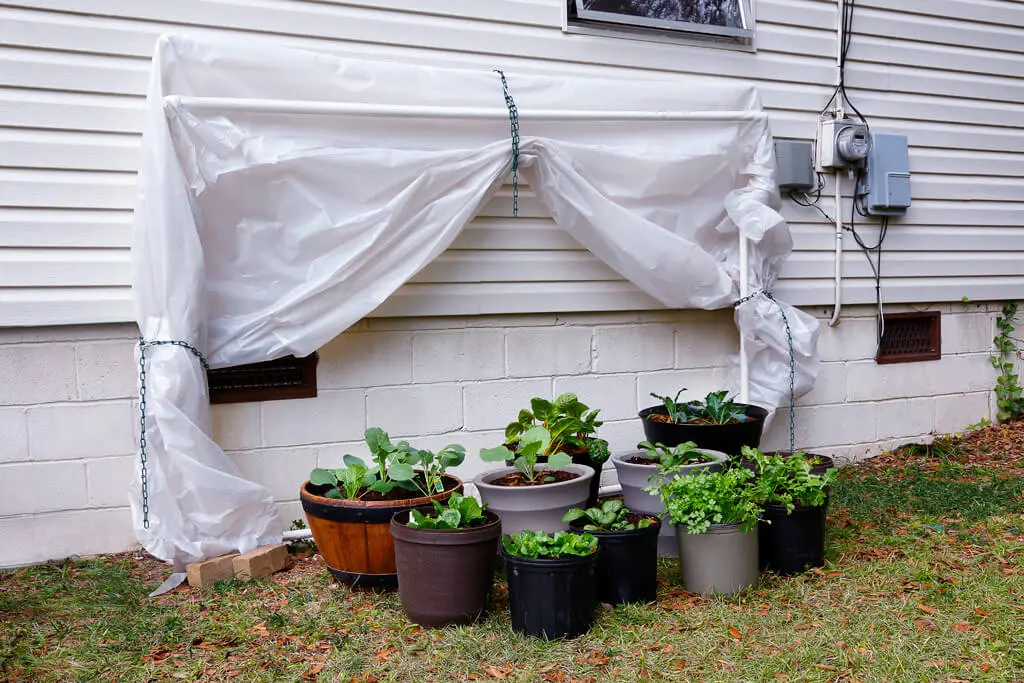 Invernadero casero DIY: 10 planos y algunas ideas para crearlo 2