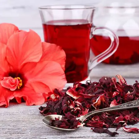 Té de Hibisco, Beneficios, Contraindicaciones y Cómo prepararlo 2