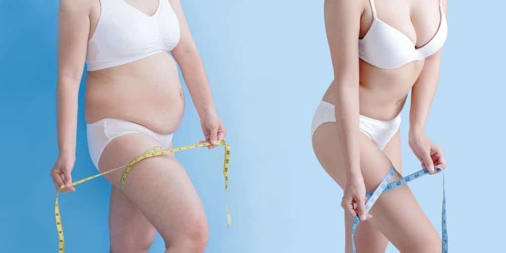 Ecología, Permacultura, Salud Natural, Plantas Medicinales, Como Cultivar, Energías renovables, Bioconstrucción y otros. 5