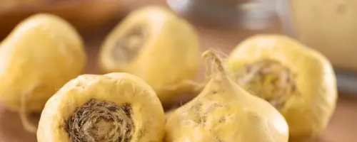 Maca Andina: Beneficios, Propiedades y Contraindicaciones 2 maca propiedades