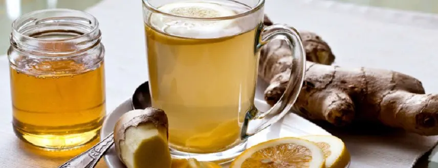 Té de jengibre. Cómo y por qué tomar esta infusión 1 para que sirve el te de jengibre