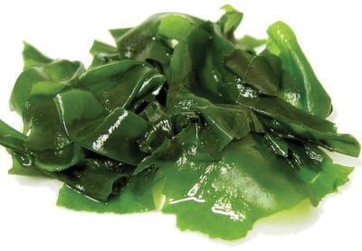 alga wakame contraindicaciones