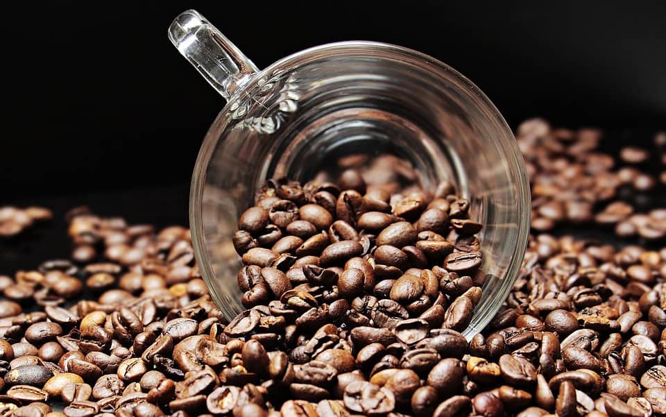 ¿Qué café es mejor, en grano o molido? 1