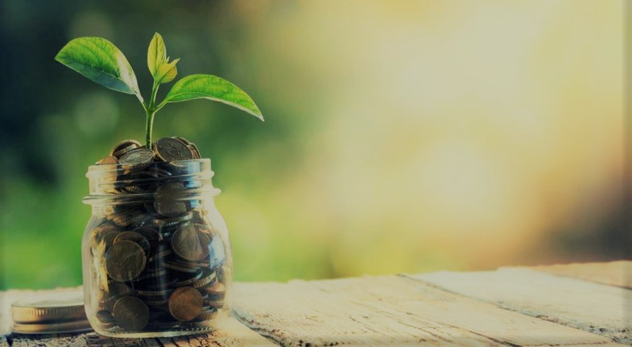 Sostenibilidad financiera: Ahorrar dinero mientras cuidas el planeta 1