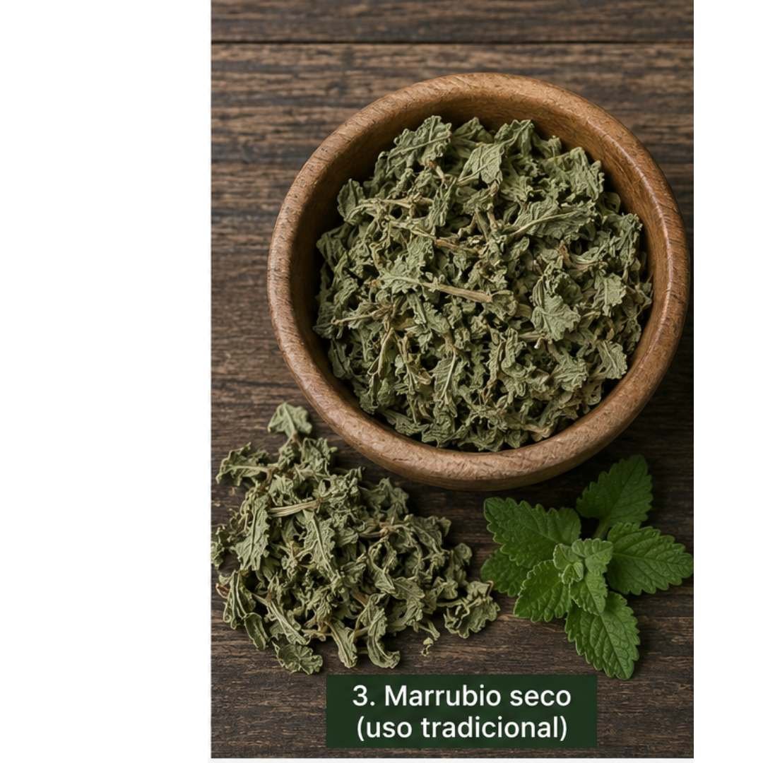 Marrubio. Propiedades y para qué sirve esta planta 3